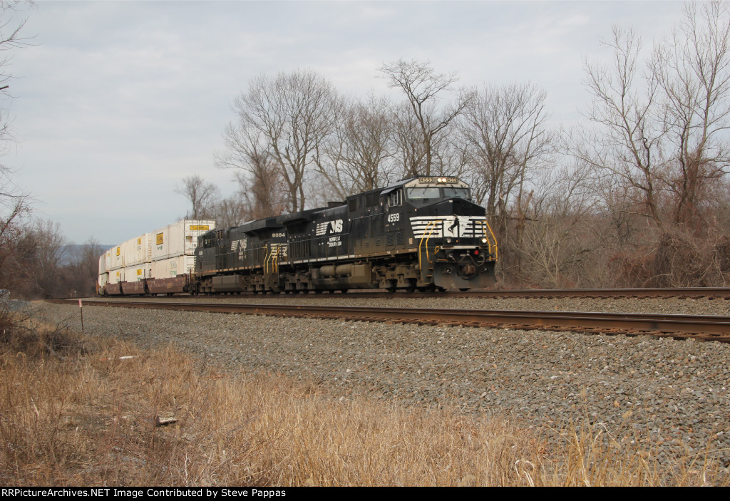 NS 4559 takes a stack train East